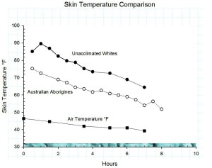 Figure 4:  Peripheral skin temperatures in Australian aborigines and white controls in near freezing temperatures.