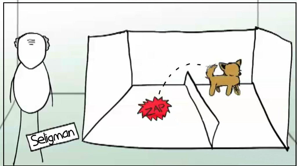 Figure 2:  When dogs who had not been shocked were place in a divided cage with one side electrified they quickly avoided the shock and jumped over the barrier onto the non-electrified side.  These results are fully consistent with the ideas of B.F. Skinner and the behaviorist tradition.
